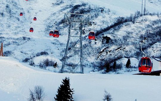 Gallery Paradice Music | Riders on the Strorm - 02/2