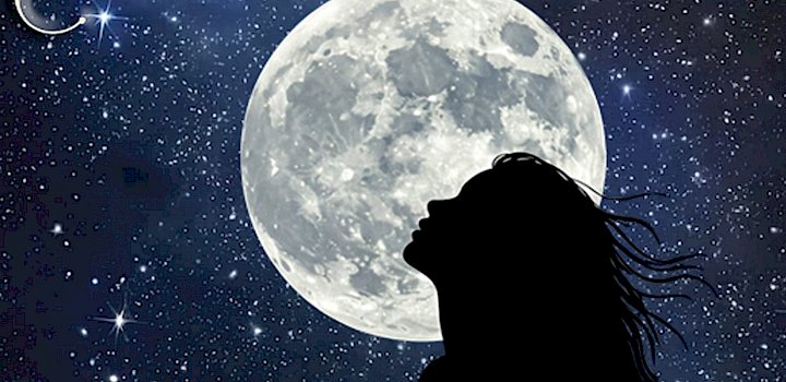 Gallery Moonshine - Logomoonshine