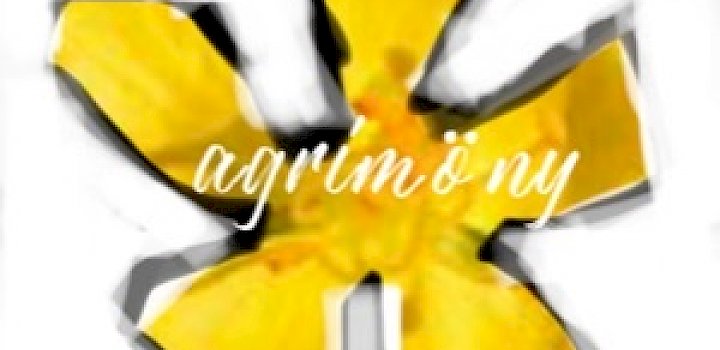 Gallery AgRimÖny - D2577571 F15f 4347 810e Dd2af600133c