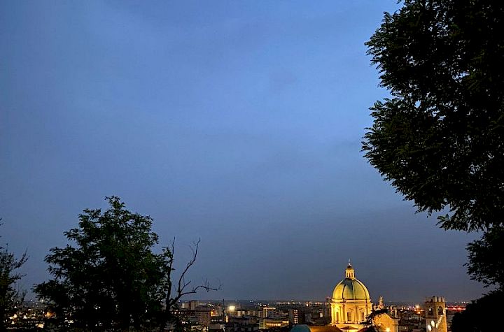 Gallery Edizione 2021 - Paola Treccani - 04/12