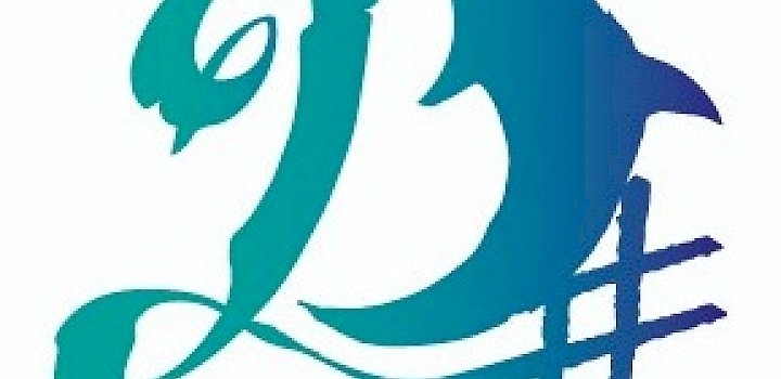 Gallery D Sharp Dolphins - Logo